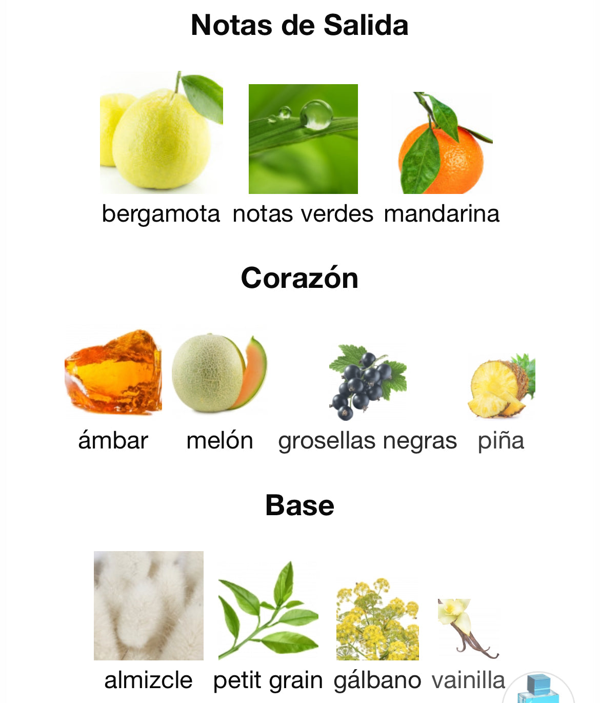 Perfume Al Haramain Amber OUD Aqua Dubai