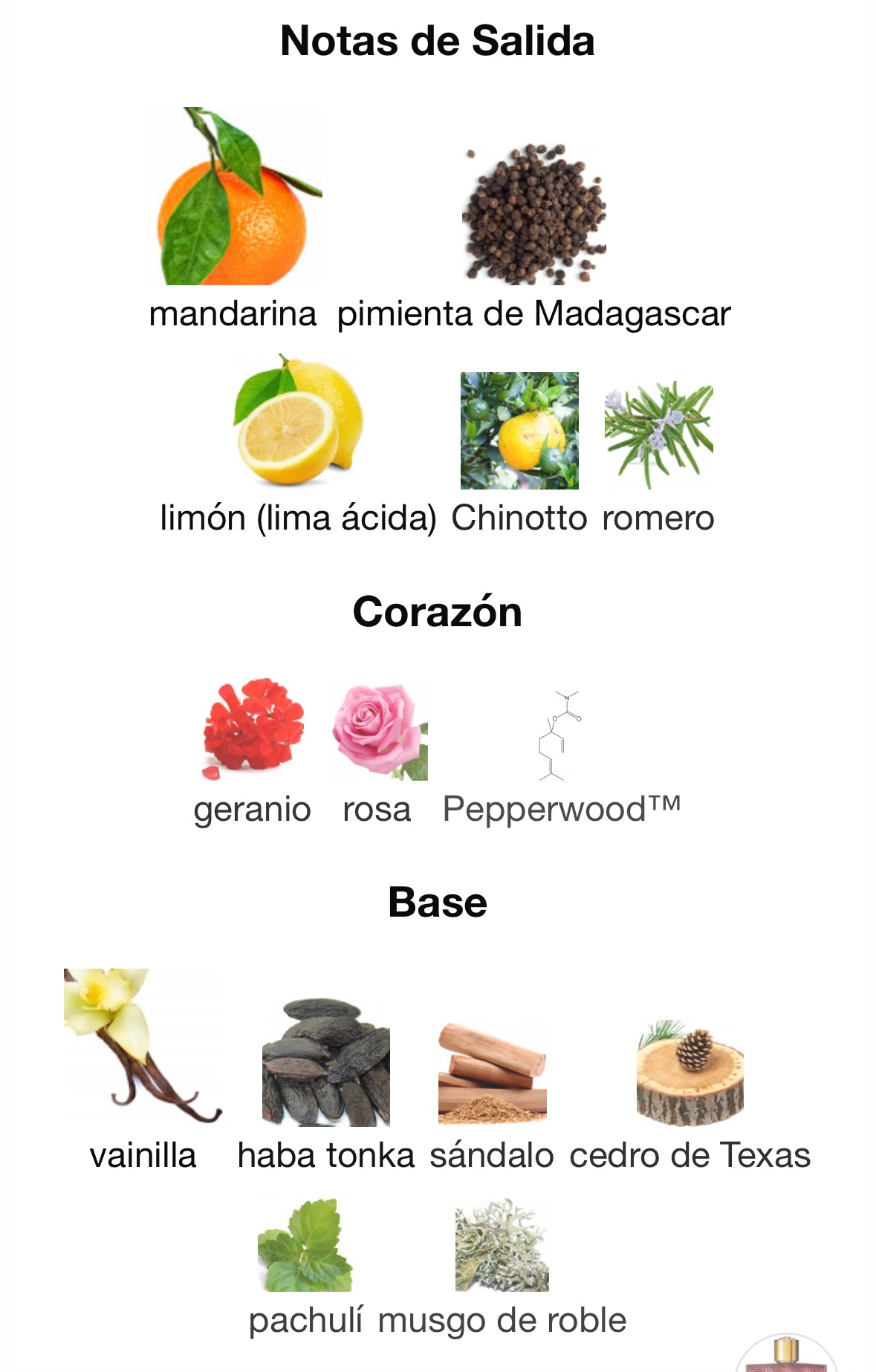 Perfume Versace Eros Flame