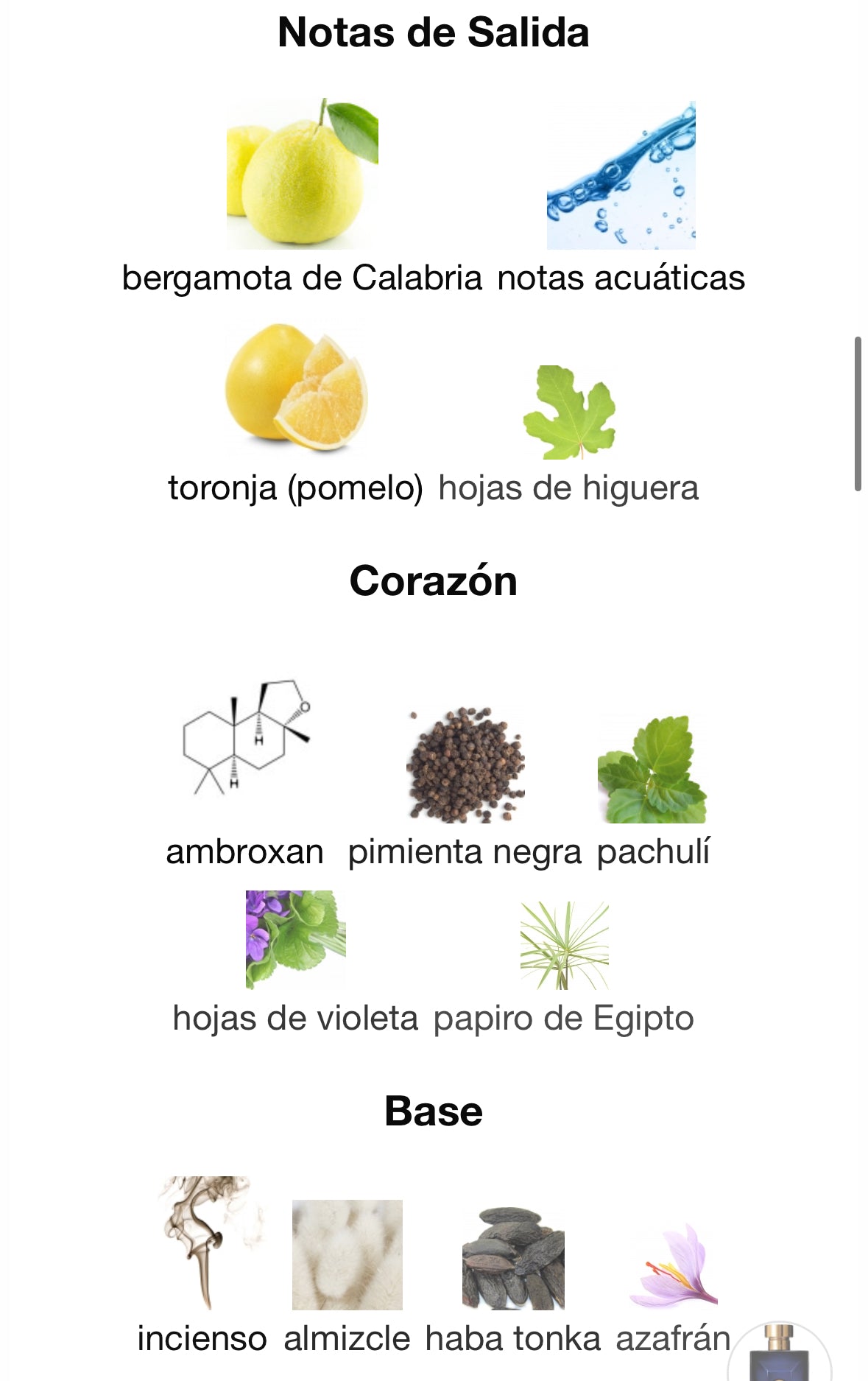 Perfume Versace Dylan Blue