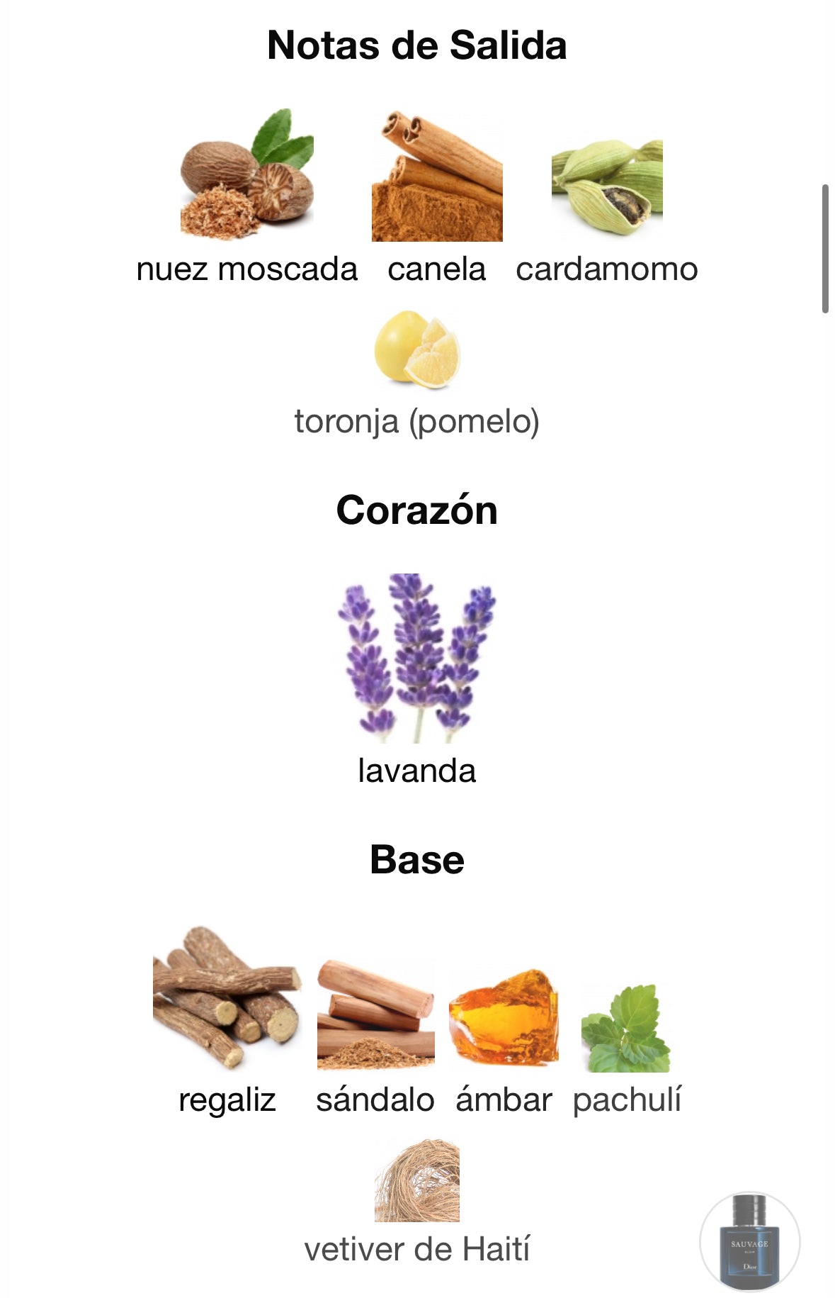 Perfume Sauvage Dior Elixir