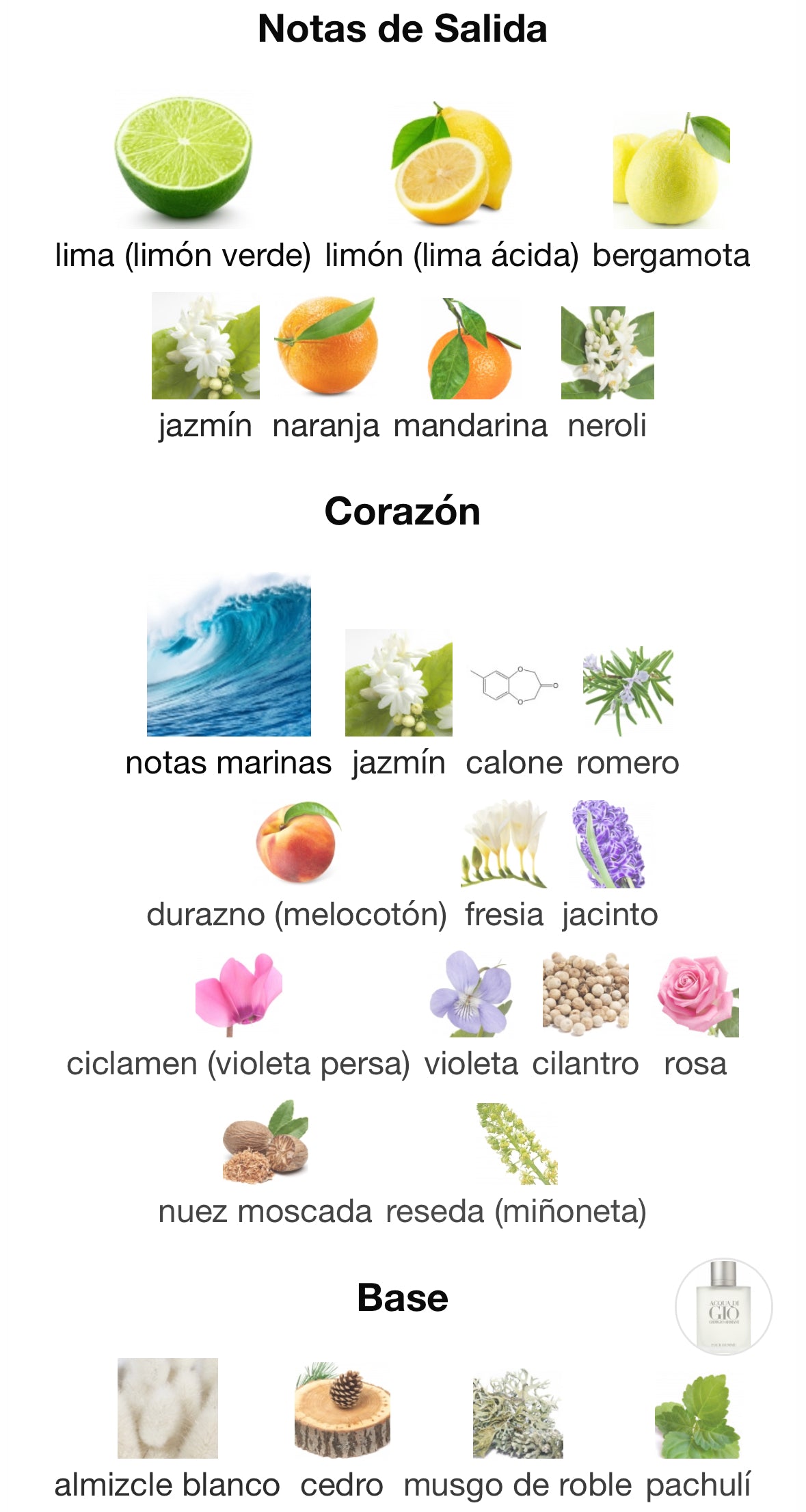 Perfume Aqua Di Gio