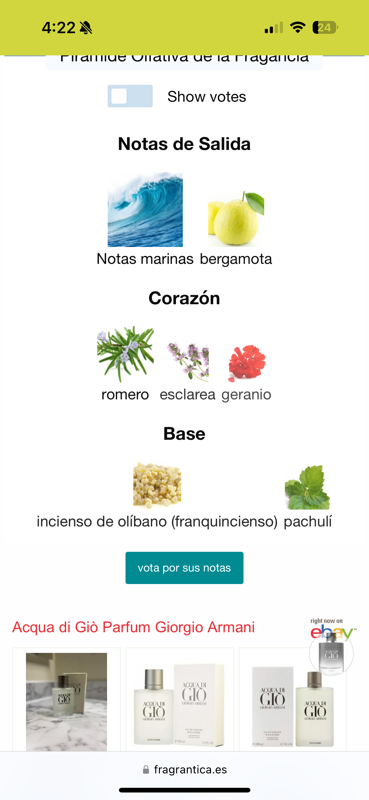 Perfume Aqua Di Gio Parfum