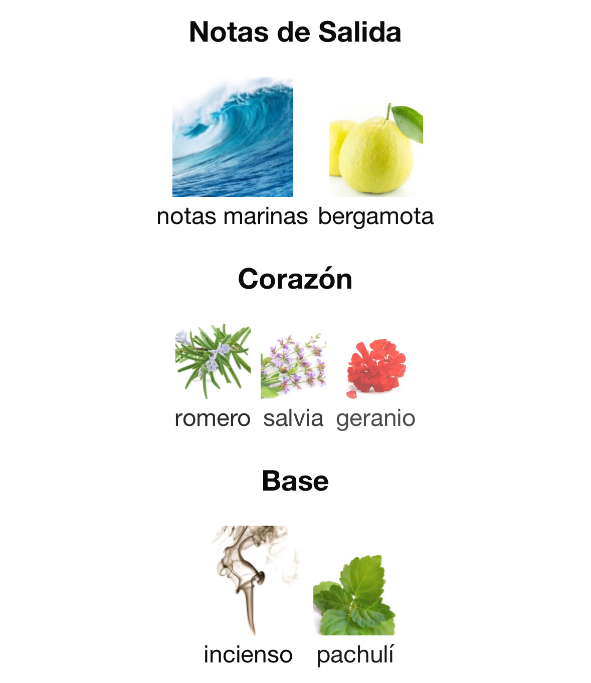 Perfume Aqua Di Gio Profumo Parfum